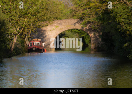 Schmale Boote am Fluss Avon mit Steinbrücke. Frühling-Szene mit in warmen Abendsonne am Stadtrand von Bad in Somerset, Großbritannien Stockfoto