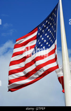 Die amerikanische Flagge vor dem Rathaus von Dallas in Texas. Stockfoto