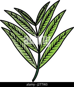 Farbe verwischt Streifen Bild realistisch Zweig mit länglichen Blättern Stock Vektor