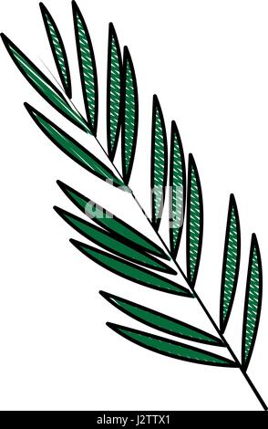 Farbe verwischt Streifen Bild Zweig mit länglichen Blättern Stock Vektor