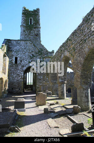 Historische Ruinen von Timoleague Friary, County Cork, Irland, Republik Irland Stockfoto