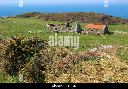 Aufgegeben von zerstörten Croft, aufbauend auf der Westküste von Cape Clear Island, County Cork, Irland, Republik Irland Stockfoto