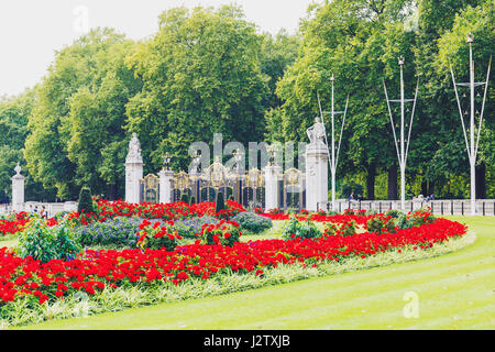 LONDON, Vereinigtes Königreich - 12. August 2015: Blumenarrangements vor Buckingham Palast in London Stockfoto