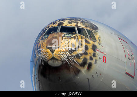 VNUKOVO, MOSCOW REGION, Russland - 23. März 2017: Boeing 777-300 EI-UNP Rossiya Airlines im besonderen fernöstlichen Leopard Farbschema landet auf dem Vnuk Stockfoto