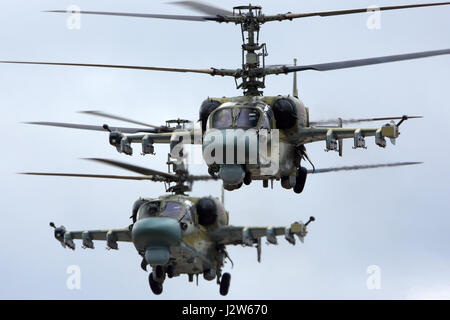 KUBINKA, Gebiet Moskau, Russland - 24. April 2017: Paar Kamov Ka-52 Alligator Kampfhubschrauber der russischen Luftwaffe während der Victory Day Parade rehea Stockfoto