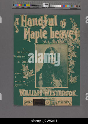 Eine Handvoll Ahorn Blätter (NYPL Hades-1926858-1955454) Stockfoto