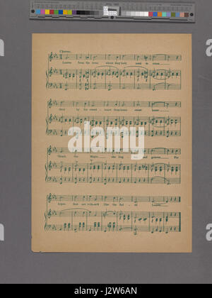 Eine Handvoll Ahorn Blätter (NYPL Hades-1926858-1955457) Stockfoto