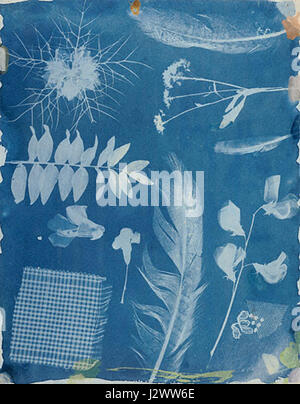 Bayard Anordnung der Proben Stockfoto