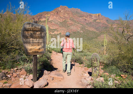 Wildnis Grenze Zeichen entlang hieroglyphisch Trail, Superstition Wilderness, Tonto National Forest, Arizona Stockfoto