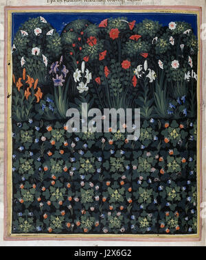 Carmina regia ist ein mittelalterliches Manuskript, das in der British Library untergebracht ist und königliche Lieder oder Hymnen enthält. F15v ist ein spezifisches Folio, das wichtige liturgische oder poetische Werke aus dem 13. Oder 14. Jahrhundert enthält. Stockfoto