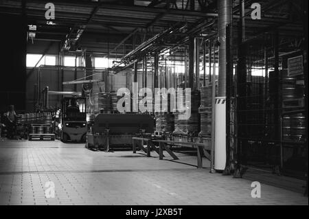 Lagermitarbeiter im Overall Kleidung, Fahrer Ausstellungsgeräte fleißig an Logistik Moving on Loader Paletten mit Bierfässer auf Linie der Fabrik für Pro Stockfoto