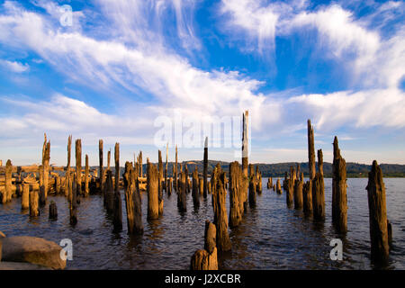 Bleibt der alten Pier ragte aus dem Wasser des Flusses faulen PolesStanding in Reihen und ragte aus dem Wasser der alten faulen Spalten, die einmal Haus Stockfoto