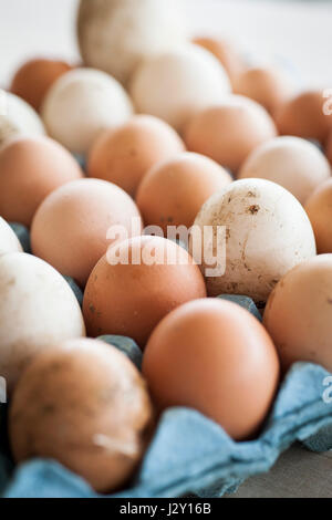 Ein Tablett mit sehr frischen ungewaschenen Eiern Schalen natürlichen Natur Quelle von Protein Freilandhaltung Eiern Bio Eierschale Eierschalen Stockfoto