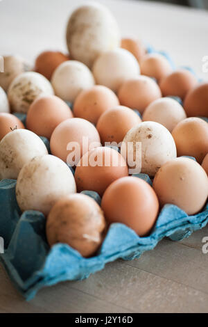 Ein Tablett mit sehr frischen ungewaschenen Eiern Schalen natürlichen Natur Quelle von Protein Freilandhaltung Eiern Bio Eierschale Eierschalen Stockfoto