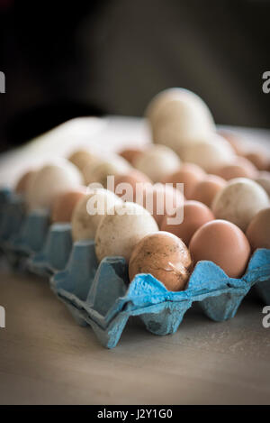 Ein Tablett mit sehr frischen ungewaschenen Eiern Schalen natürlichen Natur Quelle von Protein Freilandhaltung Eiern Bio Eierschale Eierschalen Stockfoto