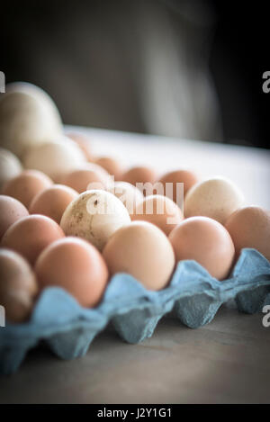 Ein Tablett mit sehr frischen ungewaschenen Eiern Schalen natürlichen Natur Quelle von Protein Freilandhaltung Eiern Bio Eierschale Eierschalen Stockfoto