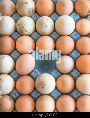 Ein Tablett mit sehr frischen ungewaschenen Eiern Schalen natürlichen Natur Quelle von Protein Freilandhaltung Eiern Bio Eierschale Eierschalen Stockfoto