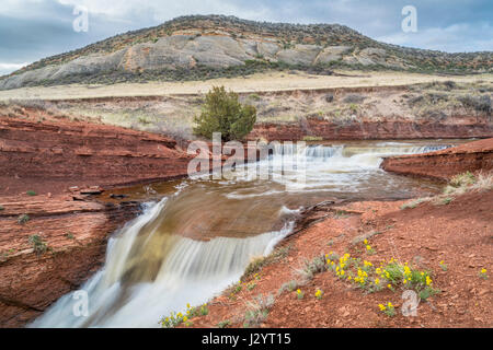 Wasserfälle im Park Creek am nördlichen Ausläufer der Colorado, Frühling Landschaft mit gelben Wildblumen Stockfoto