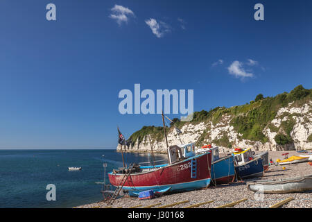 Angelboote/Fischerboote vertäut am Strand von Bier in Devon, England an einem Sommer-Morgen mit strahlend blauem Himmel. Stockfoto