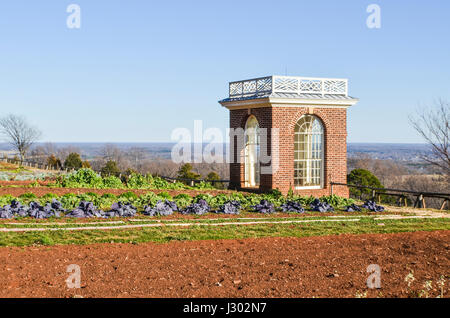 Charlottesville, USA - 20. Januar 2013: Gemüsegarten auf Berg in Monticello, Jeffersons Haus Stockfoto