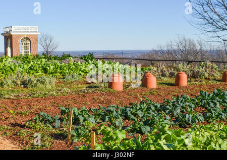 Charlottesville, USA - 20. Januar 2013: Gemüsegarten auf Berg in Monticello, Jeffersons Haus Stockfoto