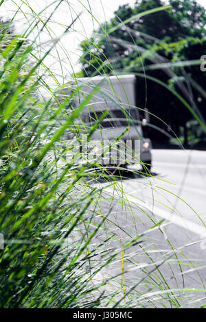 Sattelschlepper mit einem Anhänger in Form der Box auf der Straße hinter dem grünen saftigen Rasen in der Sonne leuchtenden verwischt. Stockfoto