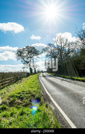 Sonnigen Tag Blick auf leere UK Landstraße. Stockfoto