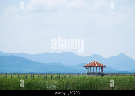 Kleinen Pavillion auf Holzbrücke im Sumpf mit Wiese mit blauen Himmelshintergrund Bergkette. Khao Sam Roi Yot National Park, Prachuap Khiri Kha Stockfoto