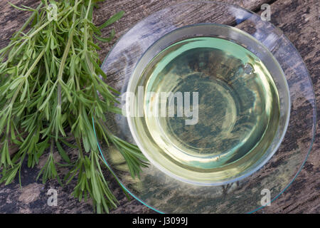 Klettenlabkraut-Tee, Tee, Kräutertee, Heiltee aus Kletten-Labkraut, Klett-Labkraut, Klettenlabkraut, Klebkraut, Klettkraut, Klette, Galium Aparine, Cl Stockfoto