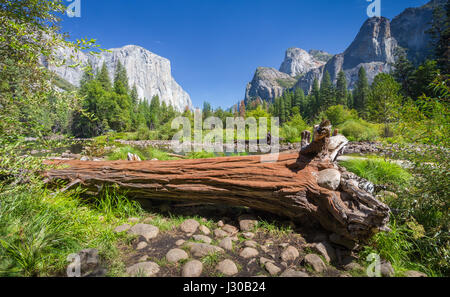 Klassische Ansicht des malerischen Yosemite Valley mit berühmten El Capitan Klettern Gipfel und idyllischen Merced Fluss an einem sonnigen Tag mit blauem Himmel und Wolken Stockfoto