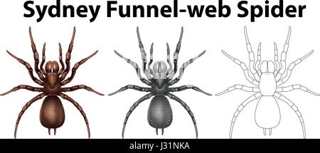 Doodle Charakter für Sydney Funnel Web Spider illustration Stock Vektor