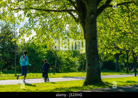 Aberystwyth Wales UK, Dienstag 02 Mai 2017 UK Wetter: Eltern mit ihren Kindern zu Fuß zur Schule nach unten die Plascrug Allee, an einem herrlich warmen sonnigen Frühlingsmorgen in Aberystwyth Wales UK Bildnachweis: Keith Morris/Alamy Live-Nachrichten Stockfoto