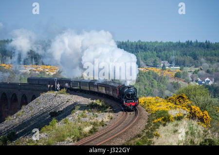 Great Britain X Dampf Tour genießt strahlend blauem Himmel, als es auf der Highland Main Line südlich von Inverness Culloden Viadukt überquert. Der Zug ist geschleppten Motor 45212 und unterstützt durch 62005, es steigen Slochd Gipfel (1, 315ft) in der Cairngorms, die härtesten Aufstieg auf dem gesamten Schienennetz vor Abstieg durch Aviemore und weiter südlich nach Glasgow. Stockfoto