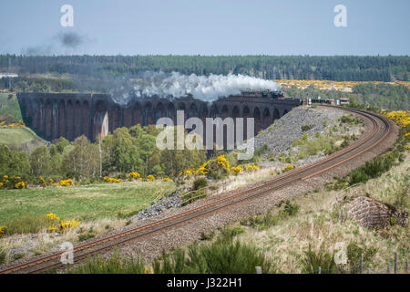 Great Britain X Dampf Tour genießt strahlend blauem Himmel, als es auf der Highland Main Line südlich von Inverness Culloden Viadukt überquert. Der Zug ist geschleppten Motor 45212 und unterstützt durch 62005, es steigen Slochd Gipfel (1, 315ft) in der Cairngorms, die härtesten Aufstieg auf dem gesamten Schienennetz vor Abstieg durch Aviemore und weiter südlich nach Glasgow. Stockfoto