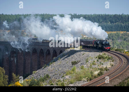 Great Britain X Dampf Tour genießt strahlend blauem Himmel, als es auf der Highland Main Line südlich von Inverness Culloden Viadukt überquert. Der Zug ist geschleppten Motor 45212 und unterstützt durch 62005, es steigen Slochd Gipfel (1, 315ft) in der Cairngorms, die härtesten Aufstieg auf dem gesamten Schienennetz vor Abstieg durch Aviemore und weiter südlich nach Glasgow. Stockfoto