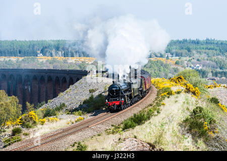 Great Britain X Dampf Tour genießt strahlend blauem Himmel, als es auf der Highland Main Line südlich von Inverness Culloden Viadukt überquert. Der Zug ist geschleppten Motor 45212 und unterstützt durch 62005, es steigen Slochd Gipfel (1, 315ft) in der Cairngorms, die härtesten Aufstieg auf dem gesamten Schienennetz vor Abstieg durch Aviemore und weiter südlich nach Glasgow. Stockfoto