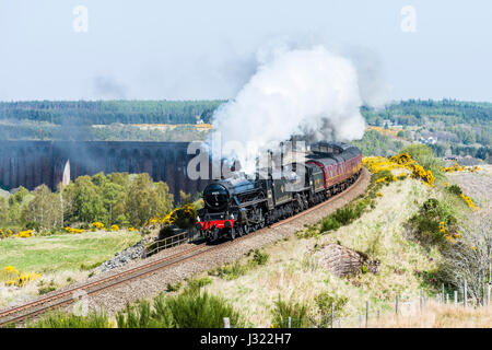 Great Britain X Dampf Tour genießt strahlend blauem Himmel, als es auf der Highland Main Line südlich von Inverness Culloden Viadukt überquert. Der Zug ist geschleppten Motor 45212 und unterstützt durch 62005, es steigen Slochd Gipfel (1, 315ft) in der Cairngorms, die härtesten Aufstieg auf dem gesamten Schienennetz vor Abstieg durch Aviemore und weiter südlich nach Glasgow. Stockfoto