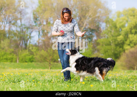 Bild von einer Frau gemacht Hund tanzen mit einem Border Collie Stockfoto