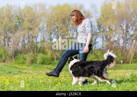 Bild von einer Frau gemacht Hund tanzen mit einem Border Collie Stockfoto