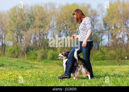 Bild von einer Frau gemacht Hund tanzen mit einem Border Collie Stockfoto