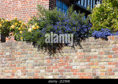 Des alten Königs Haus und Unterkunft, Strand Street, Sandwich, Kent, UK. Queen Elizabeth ich war hier im Jahr 1573 und Henry VIII beobachtete die Flotte Abfahrt Stockfoto