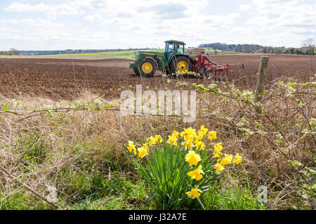 Aussaat von Saatgut auf den Cotswolds im Frühjahr in der Nähe von Hawling, Gloucestershire, Großbritannien Stockfoto