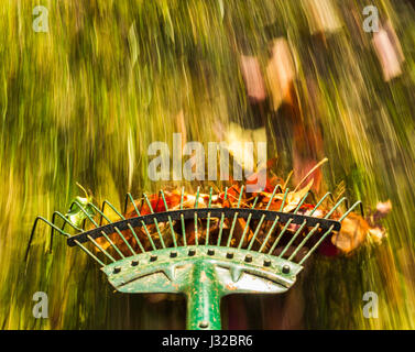 Rechen, Herbst Blätter im Garten Stockfoto