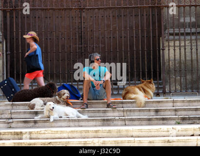 Dogwalker sitzen auf den Stufen der Kirche, Granada, Andalusien, Granada Provinz, Costa Del Sol, Spanien, Europa Stockfoto