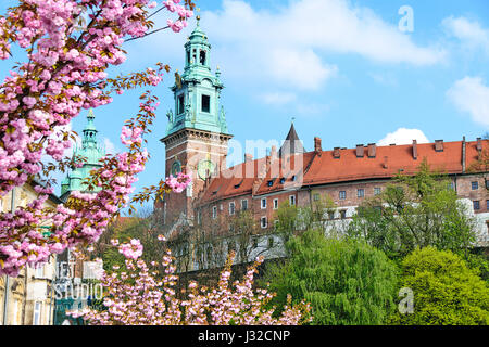 Krakau, Polen - 30. April 2017. Wawel-Hügel mit dem Königsschloss und die Kathedrale in Krakau, Polen, Europa. Stockfoto