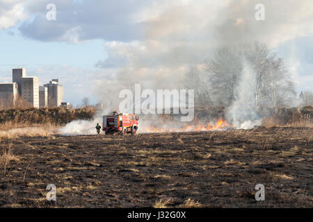 Brandbekämpfung auf dem Feld. Feuerwehrmann mit einem LKW und einem Feuerwehrschlauch löscht Feuer Stockfoto