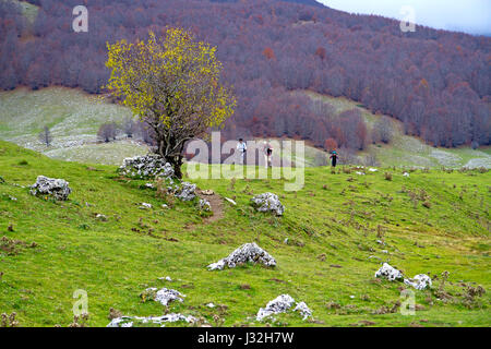 Wanderer auf dem Klavier de Pollino-Ebene im Pollino-Nationalpark Stockfoto