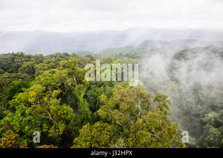 Wolken über unberührten tropischen Regenwaldes von Skyrail, in der Nähe von Cairns, Far North Queensland, FNQ, QLD, Australien gesehen Stockfoto