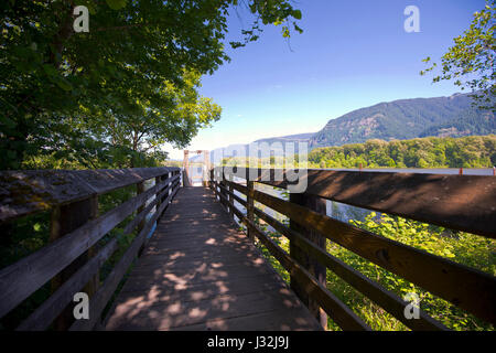 Holzbretter sollst Plattform mit Geländer führt zum Fluss zum Pier. Plattform durch schattigen Grün der Bäume und Büsche und geht an der rive Stockfoto