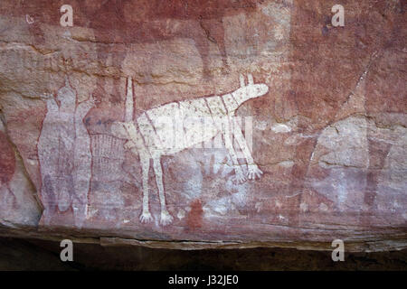 Dingo und Ameisenigel, Quinkan Rock Kunstgalerie in der Nähe von Jawalbinna, Laura, südlichen Kap-York-Halbinsel, Queensland, Australien. Keine PR Stockfoto